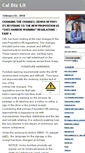 Mobile Screenshot of calbizlit.com